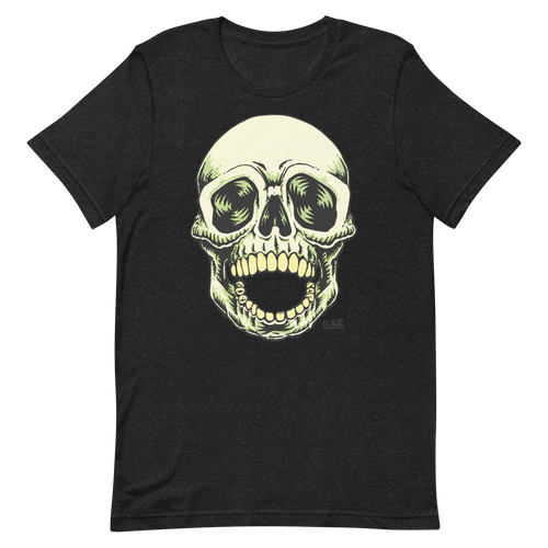 Old School Skull Unisex t-shirt